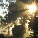 sunlight01 150